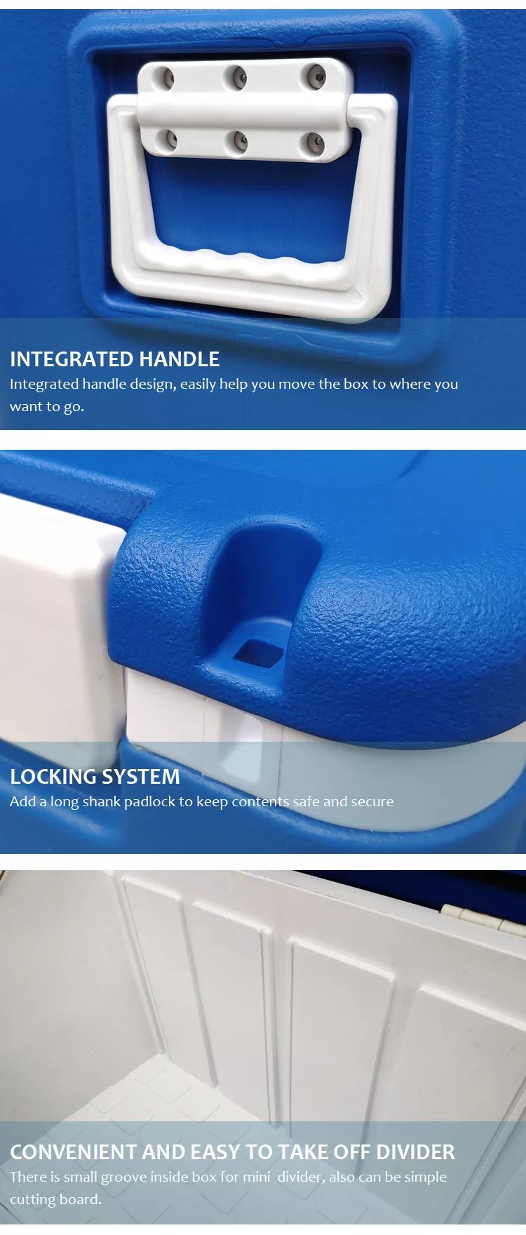 Blow molded cooler box