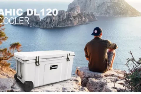 Choosing the Perfect Cooler Box for Fishing