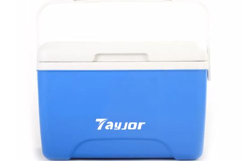 8L Small Size Portable Cooler Box