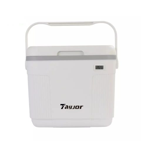 22L blow molded cooler box with thermometer