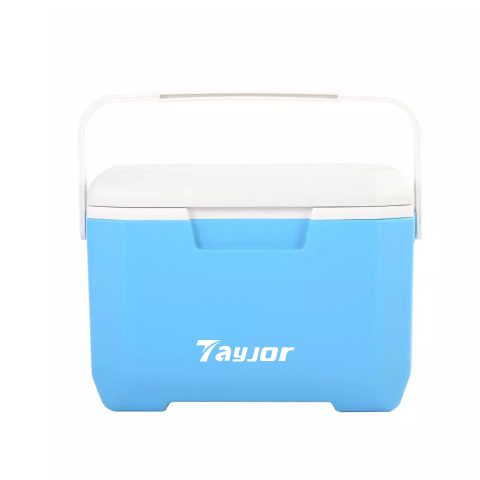 6L Small Portable Plastic Cooler Box