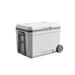 45L Ice Box With Wheel For Sale