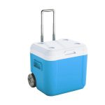 52L Refrigerate Box For Outdoor Camping