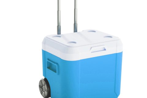 52L HDPE Ice Box Wholesale Price